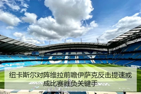 纽卡斯尔对阵维拉前瞻伊萨克反击提速或成比赛胜负关键手